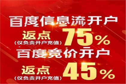 百度推广返点揭秘：真实案例分析